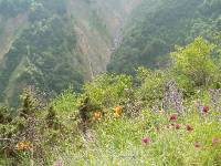 Youri - Ecrins 2005 406